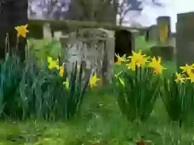 The Churchyard Group